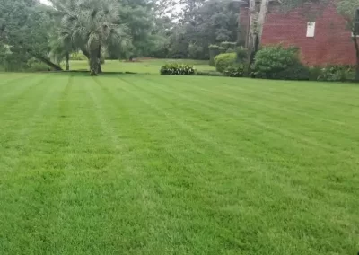 Best Landscaping Services