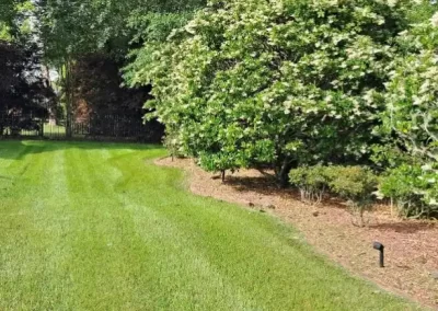 Experienced Landscaping Services