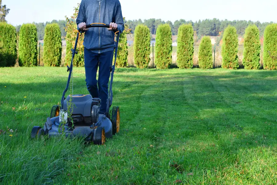 How Lawn Mowing Service Enhances Your Lawns Fertilization Pensacola, FL How Lawn Mowing Service Enhances Your Lawns Fertilization Pensacola, FL