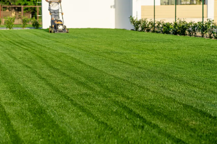 How Lawn Mowing Service Enhances Your Lawns Fertilization in Pensacola, FL How Lawn Mowing Service Enhances Your Lawns Fertilization in Pensacola, FL