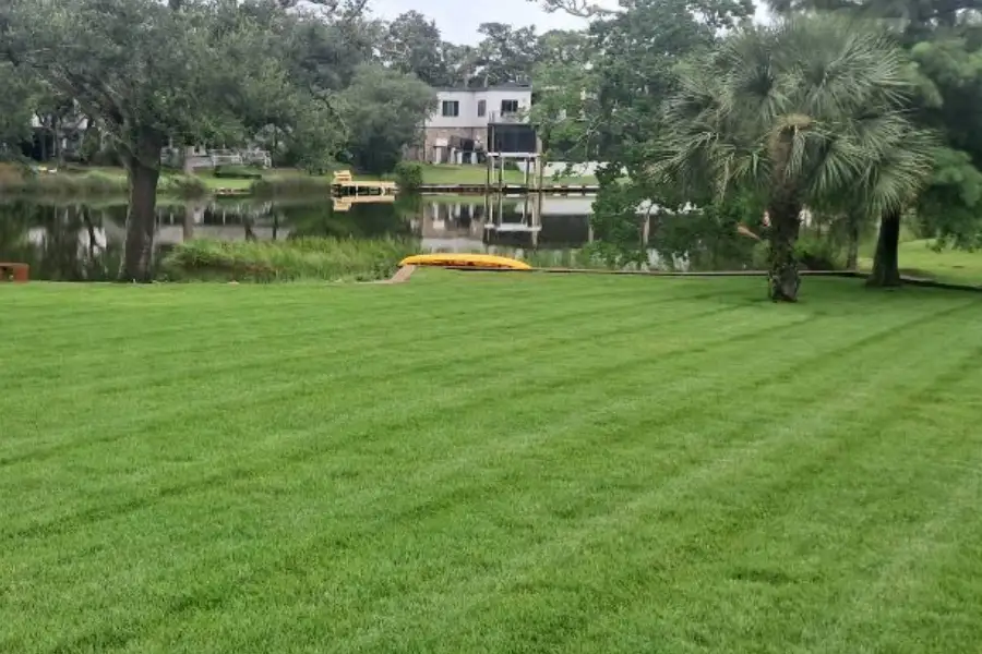 Lawn Care