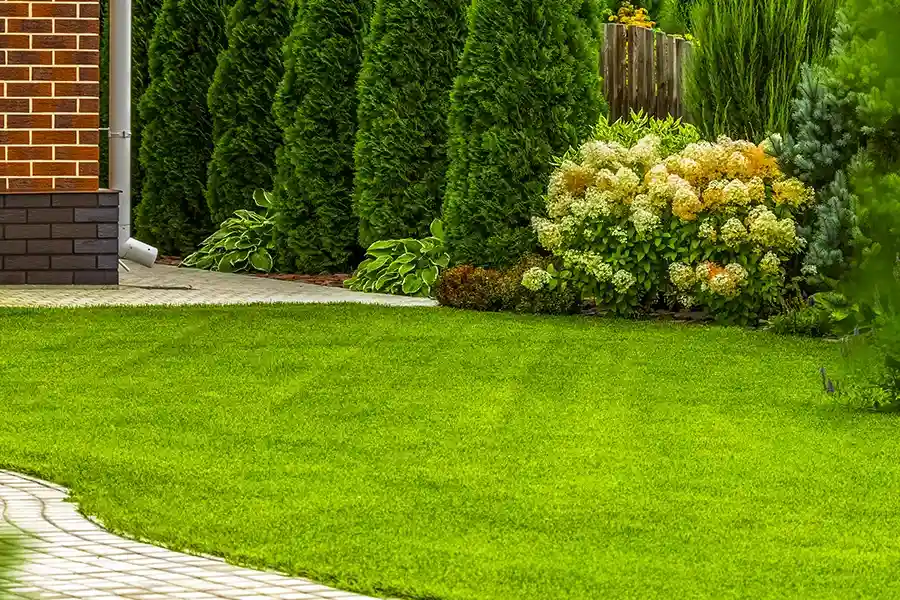 Premium Lawn Care Pensacola, FL
