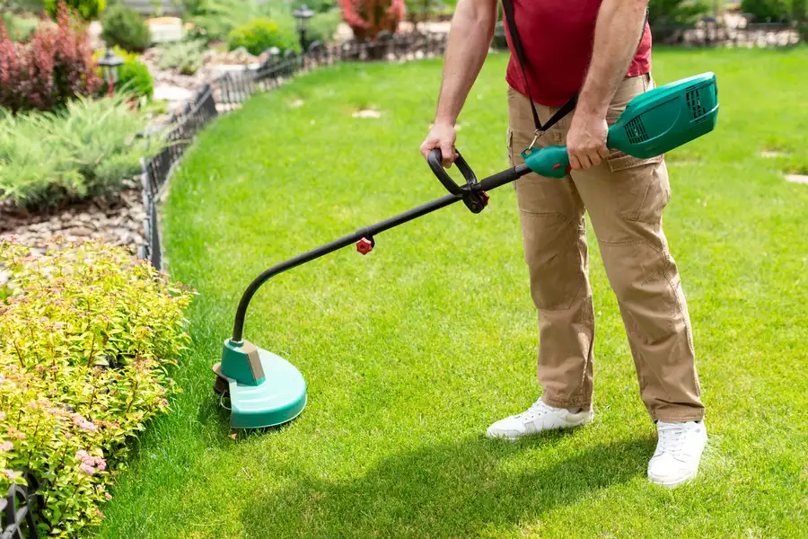 Reliable Lawn Care Pensacola, FL