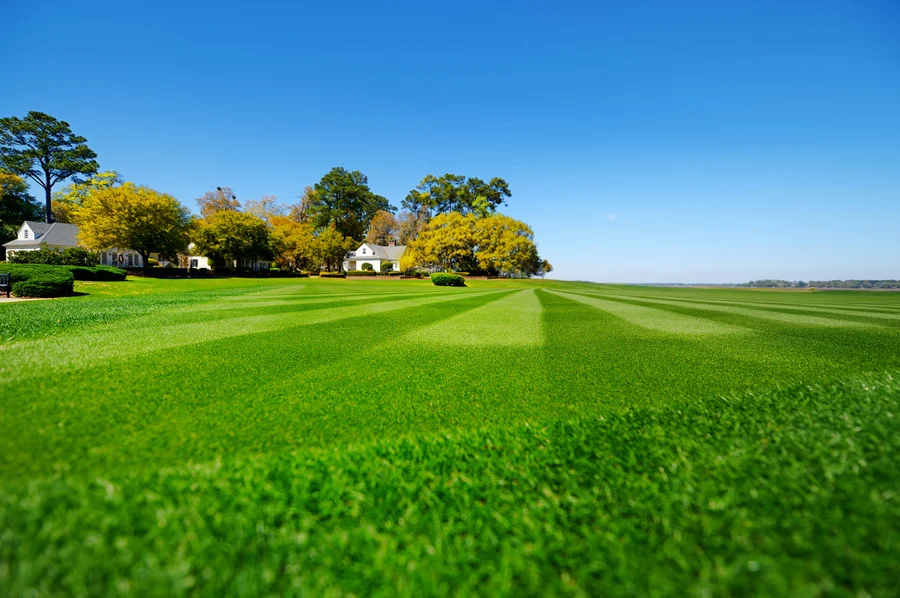 Seasonal Lawn Care Tips For A Healthy, Vibrant Yard in Pensacola, FL