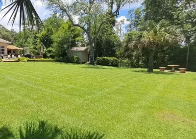 Top-rated Landscaping Services