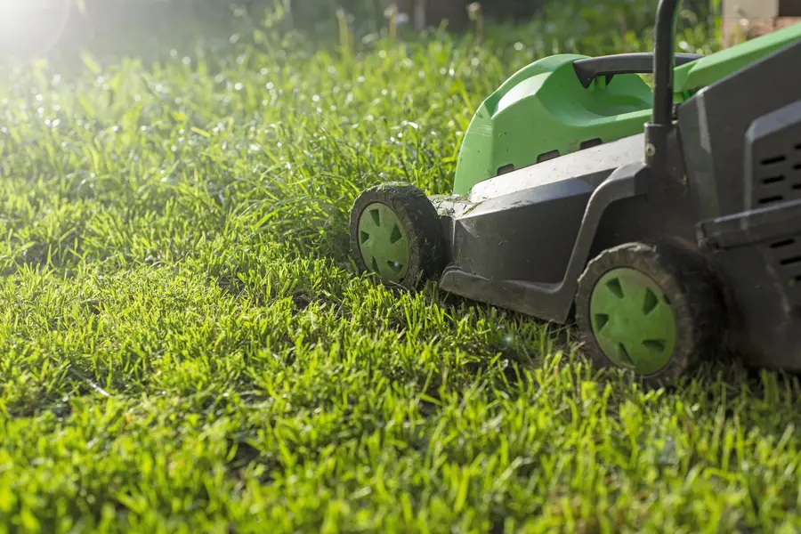 Why Lawn Mowing Service Is Essential For Healthy Grass Growth in Pensacola, FL